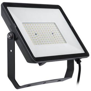 Philips by Signify 8719514954465 floodlight