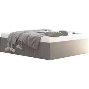 Polsterbett Amrum, grau, B:205cm L:205cm, Bezug Glanzvelours, 100% Polyester, Polsterung 100% Polyester, Gestell Holzwerkstoff, WESTFALIA SCHLAFKOMFORT, Betten, in Samtvelours ohne Kopfteil, mit und ohne Bettkasten erhältlich