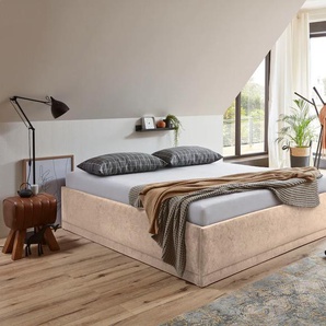 Polsterbett Texel, beige (sand), B:166cm H:34cm L:206cm, Bezug Bett: Veloursstoff 100% Polyester oder Microfaser (100% Polyester), Bonnell-Federkernmatratze: 51% Polypropylen, 39% Polyester und 10% Baumwolle, Kaltschaummatratze: 100% Polyester, Bezug