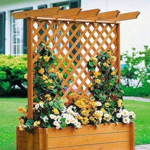 promadino Spalier, Pergola mit Pflanzkasten, BxTxH: 102x65x140 cm