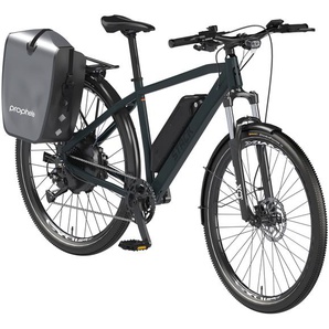 Prophete E-Bike Trekking SUV, 29 Zoll