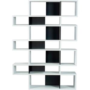 Raumteilerregal TEMAHOME Regale Gr. B/H/T: 156 cm x 220 cm x 34 cm, schwarz-weiß (weiß, schwarz) Raumteiler-Regale