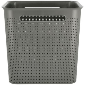 Rotho Aufbewahrungsbox | grau | Kunststoff, Polypropylen | 29 cm | 28 cm | 29 cm |