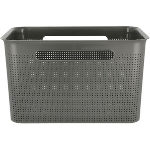 Rotho Aufbewahrungsbox | grau | Kunststoff, Polypropylen | 36 cm | 21 cm | 26 cm |