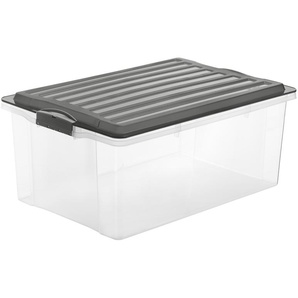 Rotho Aufbewahrungsbox mit Deckel - grau - Kunststoff, Polypropylen - 40 cm - 25 cm | Möbel Kraft