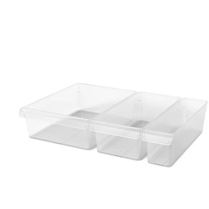 Rotho Kühlschrankorganizer-Set  Loft ¦ transparent/klar ¦ Kunststoff ¦ Maße (cm): B: 31 H: 22 T: 9