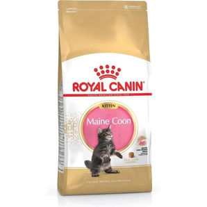 Royal Canin Maine Coon Kitten 10kg