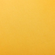 Banner-0