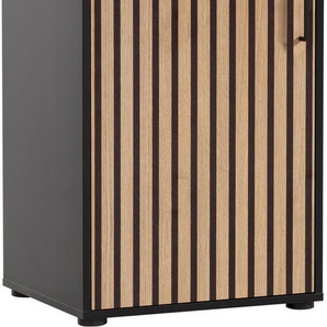 Schildmeyer Aktenschrank Hank, MADE IN GERMANY, Breite 50 cm Tür mit Akustikprint, Metallbeschläge, Softclose-Funktion