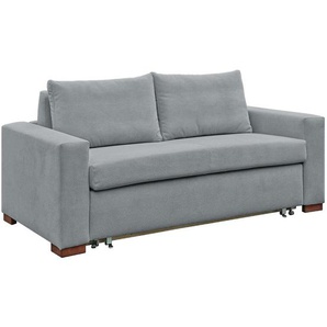 Schlafsofa Conneautville