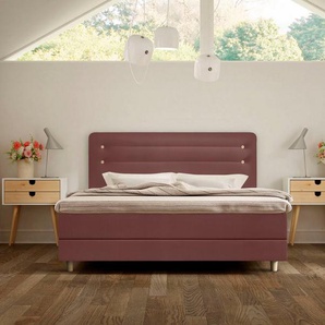 Schlaraffia Boxspringbett Fidelio, inkl. BULTEX® Topper, Holzfuß in Eiche