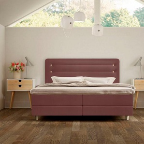 Schlaraffia Boxspringbett Fidelio, inkl. BULTEX® Topper, Holzfuß in Eiche