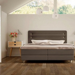 Schlaraffia Boxspringbett Fidelio, inkl GELTEX® Next Topper, Holzfuß in Eiche