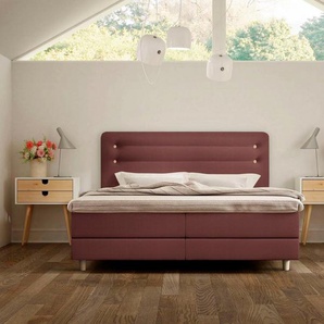 Schlaraffia Boxspringbett Fidelio, inkl GELTEX® Next Topper, Holzfuß in Eiche