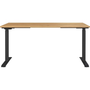 Schreibtisch GERMANIA Jet, elektrisch höhenverstellbar Tische Gr. B/H/T: 160cm x 72cm x 80cm, braun (navarra-eiche-nb./schwarz + schwarz navarra-eiche-nb.) moderne Farbvariationen, Breite 120140160180 cm, Made in Germany