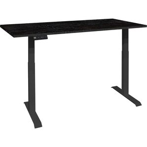 Schreibtisch MÄUSBACHER Big System Office Tische Gr. B: 120 cm, schwarz (schwarz matt, flamed wood black, black) Breite 120 cm, elektrisch höhenverstellbar