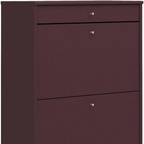 Schuhkipper HAMMEL FURNITURE Mistral Schuhschrank, Schuhkommode, Schuhaufbewahrung Sideboards Gr. B/H/T: 70cm x 128cm x 32,5cm, 3 St., rot (bordeaux) mit drei Schubladen für Schuhe, B: 70 cm, anpassungsbar Designmöbel