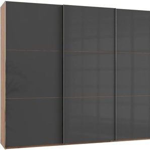 Schwebetürenschrank WIMEX Level by fresh to go Schränke Gr. B/H/T: 300 cm x 236 cm x 65 cm, 3 St., grau (plankeneichefarben, grauglas) mit Glastüren