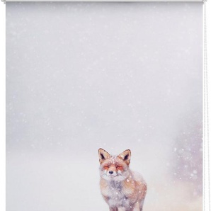 Seitenzugrollo Klemmfix Motiv Fuchs im Schnee, LICHTBLICK ORIGINAL, Lichtschutz, ohne Bohren, freihängend, Klemmfix, bedruckt