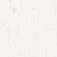 Banner-0