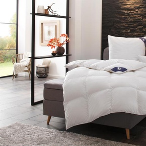 Bettdecken online kaufen bis -75% Rabatt | Möbel 24