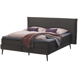 switch Boxspringbett  Harper ¦ grau ¦ Maße (cm): B: 162 H: 116