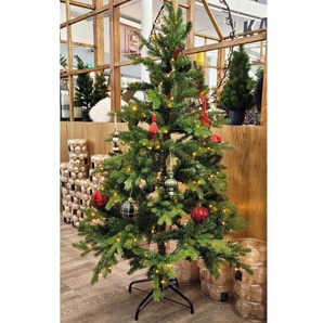 Tannenbaum Allison II, grün, inkl. LED-Beleuchtung, 150 cm