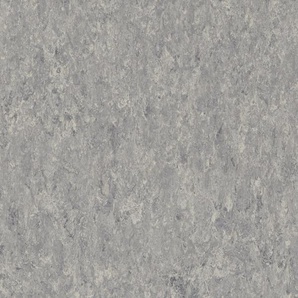 Tarkett | Lino Loose- Lay xf² | Veneto BURLAP 911- Bahnenware