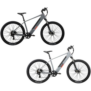 TELEFUNKEN E-Bike Mountainbike »Aufsteiger M921« MTB, 29 Zoll