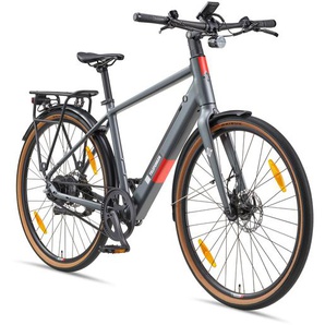 TELEFUNKEN E-Bike Urban UH220, Riemenantrieb, 2-Gang Automatik, 28 Zoll titangrau