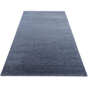 Teppich OCI DIE TEPPICHMARKE Bellevue Teppiche Gr. B: 240cm, 20mm, L: 340cm, blau Wohnzimmer