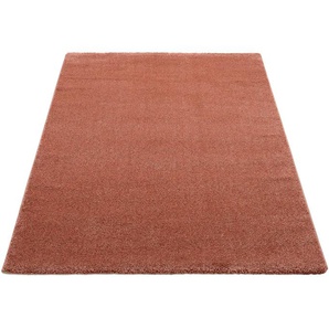 Teppich OCI DIE TEPPICHMARKE NEW VILLA MELANGE Teppiche Gr. B: 160cm, 20mm, L: 230cm, rot (rosenholz) maschinell gewebt, strapazierfähig, alle Wohnräume