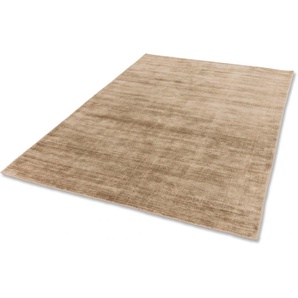 Teppich SCHÖNER WOHNEN-KOLLEKTION Alessa Teppiche Gr. B: 170cm, 5mm, L: 240cm, beige Viskose, Wohnzimmer