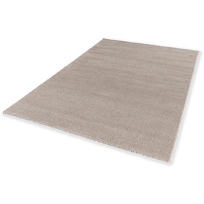 Teppich SCHÖNER WOHNEN-KOLLEKTION Pure 190 Teppiche Gr. B: 240cm, 21mm, L: 330cm, beige Wohnzimmer, Schlafzimmer, uni, leichter Glanz, robuster Kurzflor