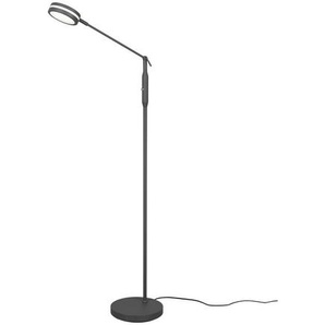 Trio Leuchten Led-Stehleuchte Franklin, Anthrazit, Metall, 23x133 cm, Lampen & Leuchten, Innenbeleuchtung, Stehlampen, Stehlampen Dimmbar