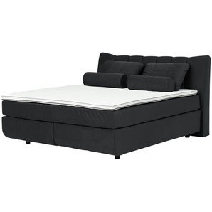 uno Boxspringbett  Ferry ¦ grau ¦ Maße (cm): B: 190 H: 113