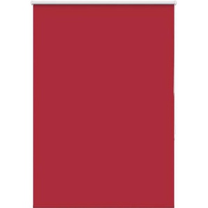 Vidaxl - Verdunkelungsrollo Rot 100x175cm Stoffbreite 95,7 cm Polyester