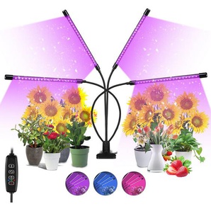 Vingo Lampe Horticole 40W Tasmor Lampe Plante Intérieur 80 LEDs à 360° Lampes de Croissance Horticoles avec Chronométrage led Horticole