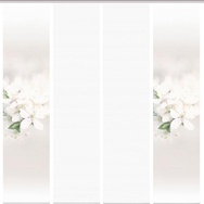 Banner-0