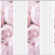 Banner-0