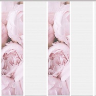 Banner-0