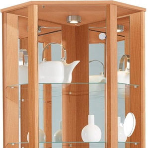 Vitrine FIF MÖBEL TRIO Schränke Gr. B/H/T: 71 cm x 172 cm x 50 cm, braun (buchefarben) Vitrinen