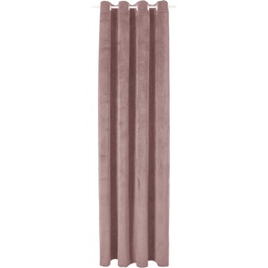 Gardinen & Vorhänge aus Moebel 24 Polyester | Preisvergleich