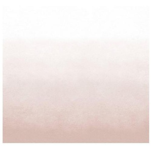 vtwonen Fototapete Degrade, Ton-in-Ton, (1 St), Soft Rosa - 300x280 cm