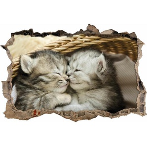 Wandaufkleber Cute Cuddling Kittens