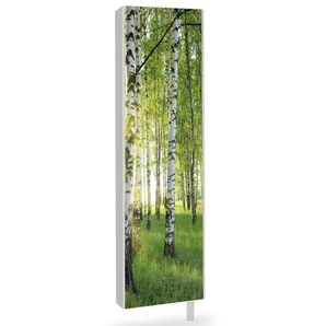 Wanddrehschrank WISTA.FORREST, Glas/grün