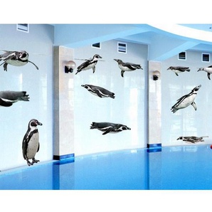 Humboldt-Pinguine Wandsticker Set