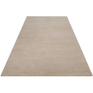 Wollteppich ESPRIT Greenwood Rug Teppiche Gr. B/L: 300 cm x 300 cm, 2 mm, 1 St., beige (creme beige) Esszimmerteppiche modern, kuschelig aus Schurwolle, pflegeleicht, Wohn-, Schlafzimmer