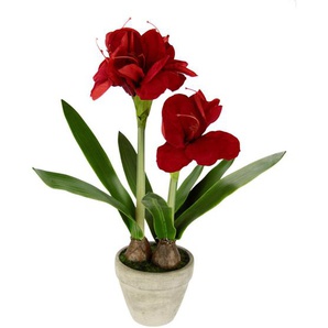 X-Mas Amaryllis, Rot, 29x50x29 cm, Dekoration, Kunstblumen