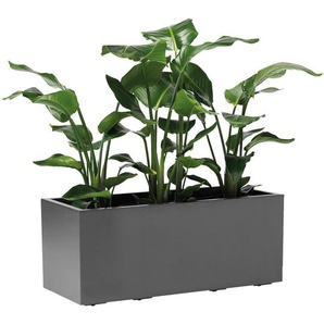 Xxxl Blumenkasten, Anthrazit, Kunststoff, 99.5x39.5x39.5 cm, stabil, wetterbeständig, UV-beständig, Gartenzubehör, Blumentöpfe